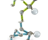 Acrobots