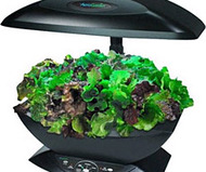 Aero Garden