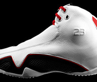 Air Jordan XXI
