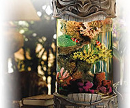 Aloha Tiki Aquarium