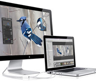 Apple 24-inch LED Cinema Display