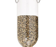 Audubon Soda Bottle Bird Feeder