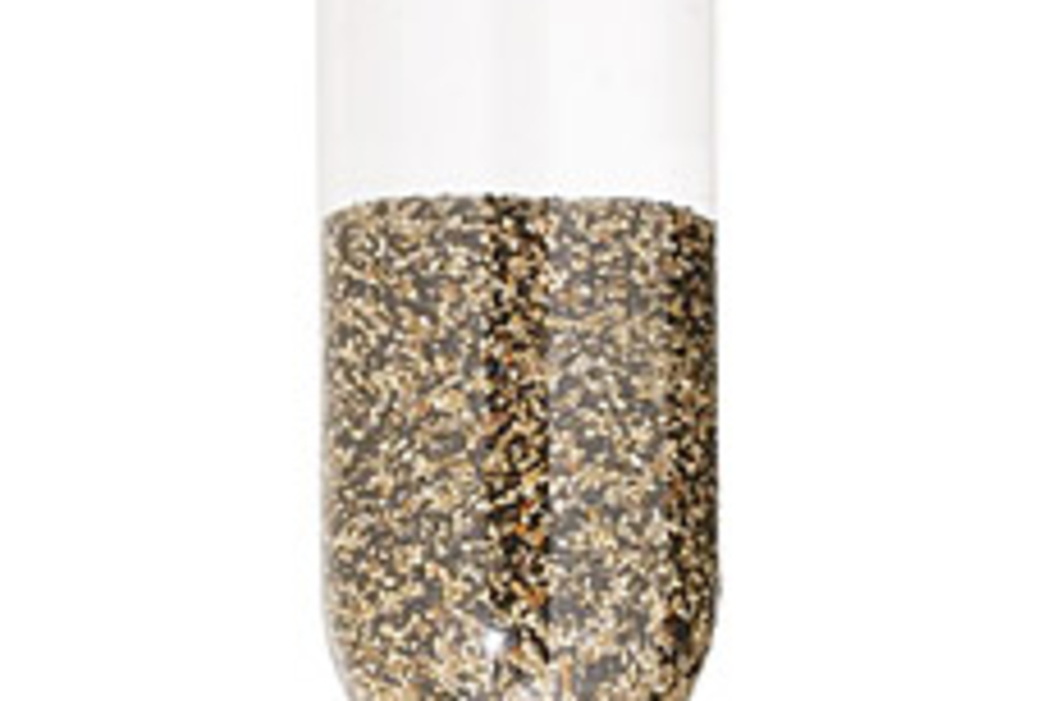 Audubon Soda Bottle Bird Feeder Audubon Soda Bottle Bird Feeder