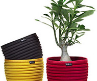 Beehive SoftBowls