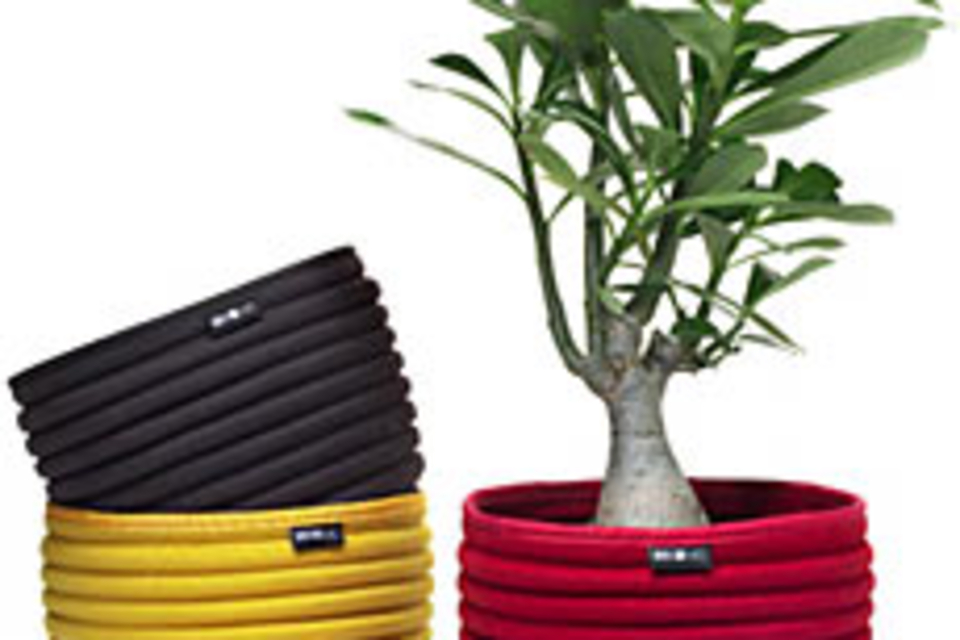 Beehive SoftBowls Beehive SoftBowls