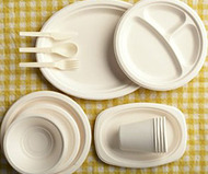 Biodegradable Plates, Cups, + Utensils