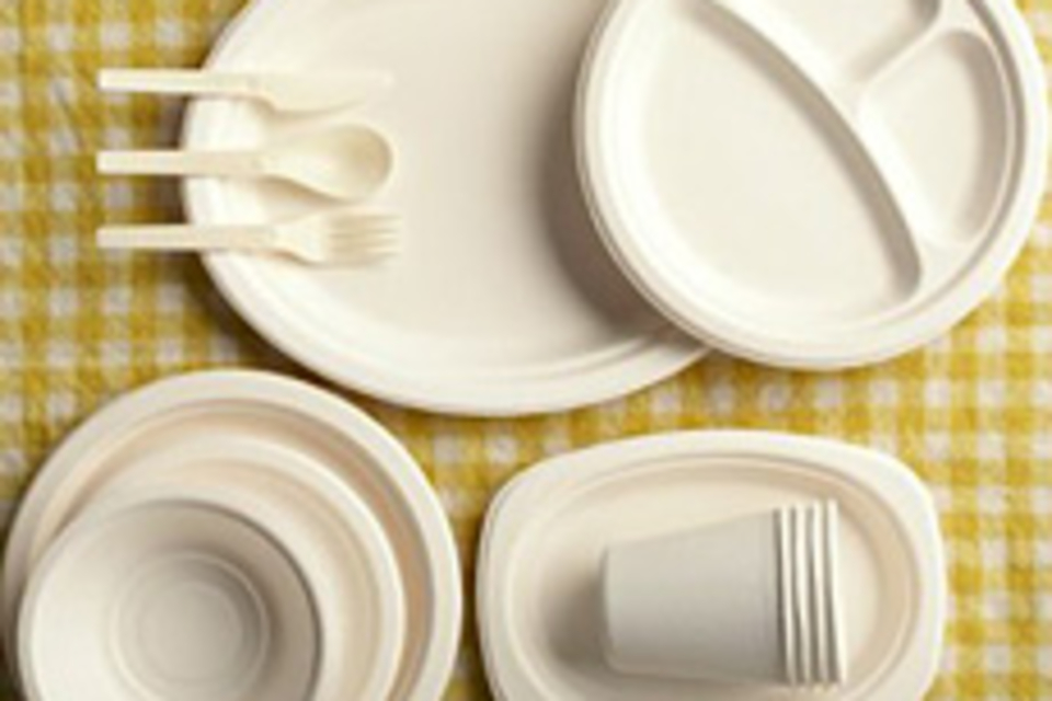 Biodegradable Plates, Cups, + Utensils Biodegradable Plates, Cups, + Utensils
