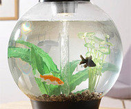 biOrb Aquarium