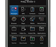Blackberry Storm