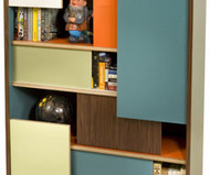 Thomas Wold Block Party Book Case