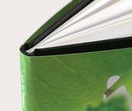Blurb Custom Books