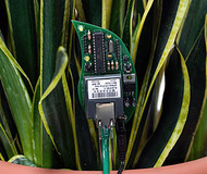 Botanicalls