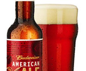 Budweiser American Ale