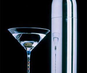 Bullet Cocktail Shaker