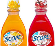 Citrus Splash & Cinnamon Ice Scope