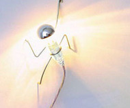 Climbing Light