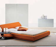 Clip Bed