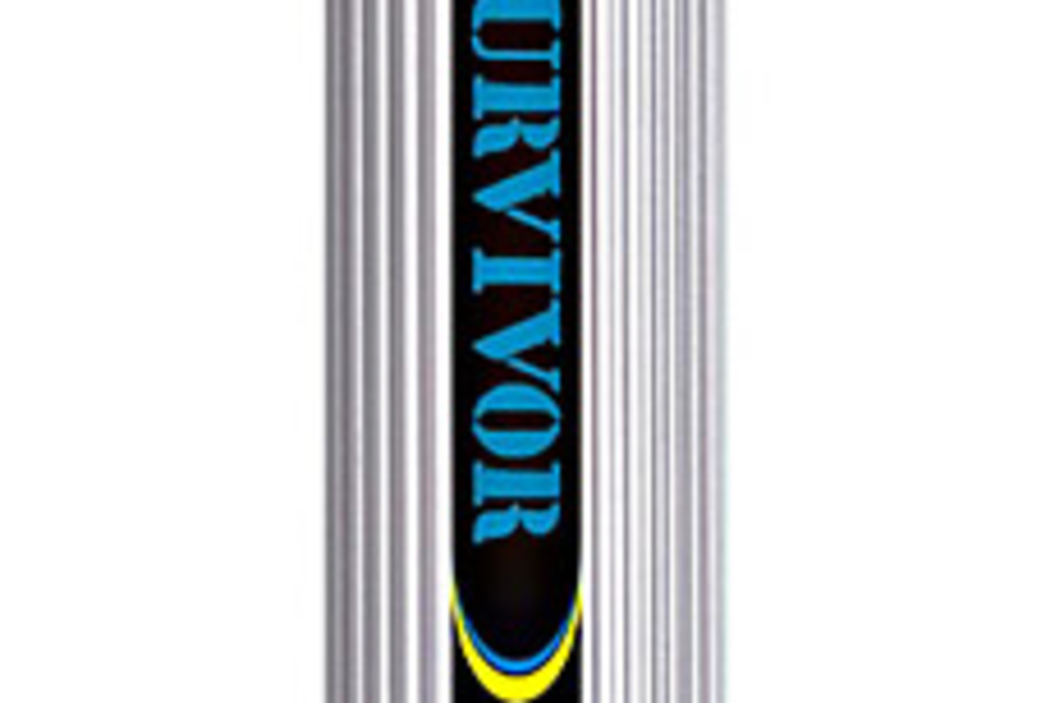 Flash Survivor Flash Survivor