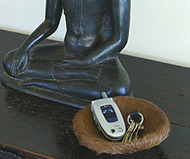 Cowhide Valet