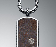Dinosaur Bone Dog Tag
