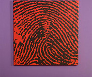 DNA 11 FingerPrints