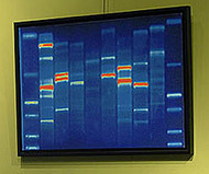 DNA Art