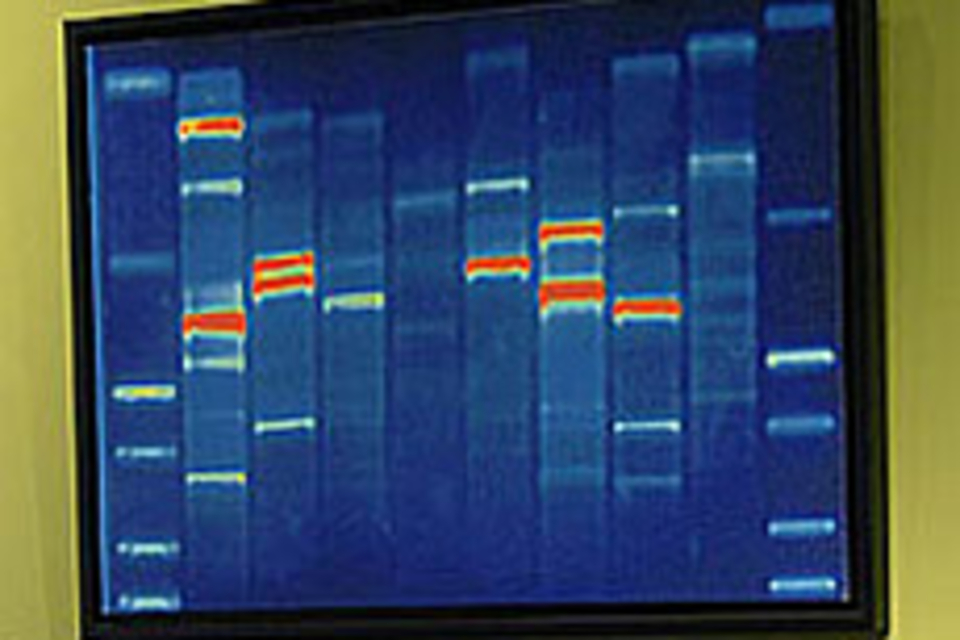 DNA Art DNA Art