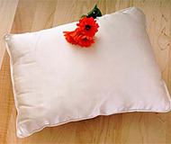 DreamSacks Silk Travel Pillow
