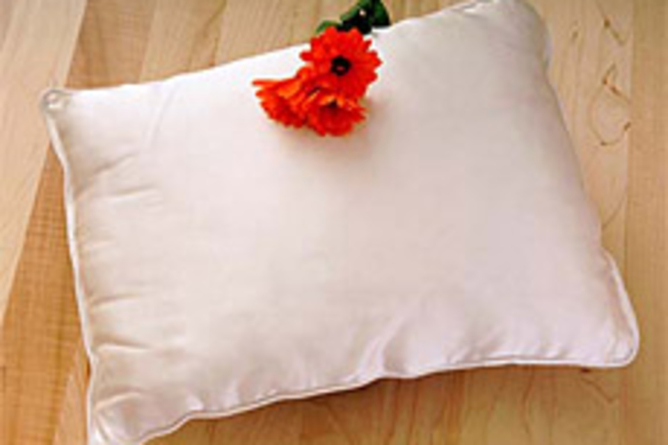 DreamSacks Silk Travel Pillow DreamSacks Silk Travel Pillow