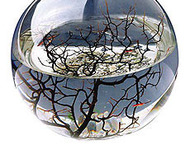 EcoSphere