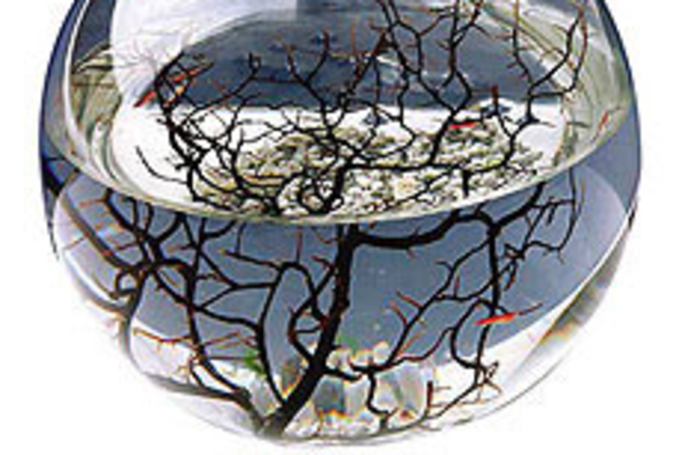 EcoSphere EcoSphere