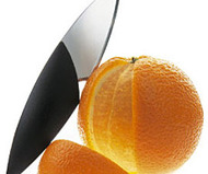 EVASolo Fruit Knife
