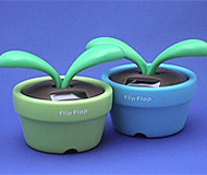 Flip Flap