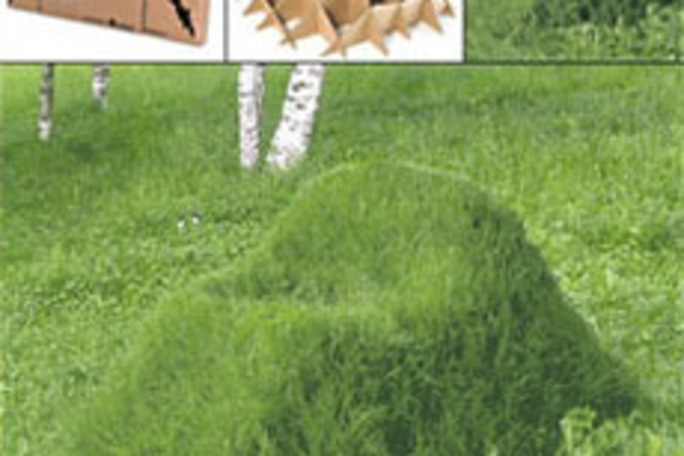 Grass Armchair Grass Armchair