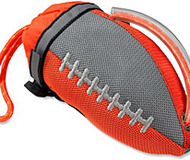 WRSI Hail Mary Throw Bag