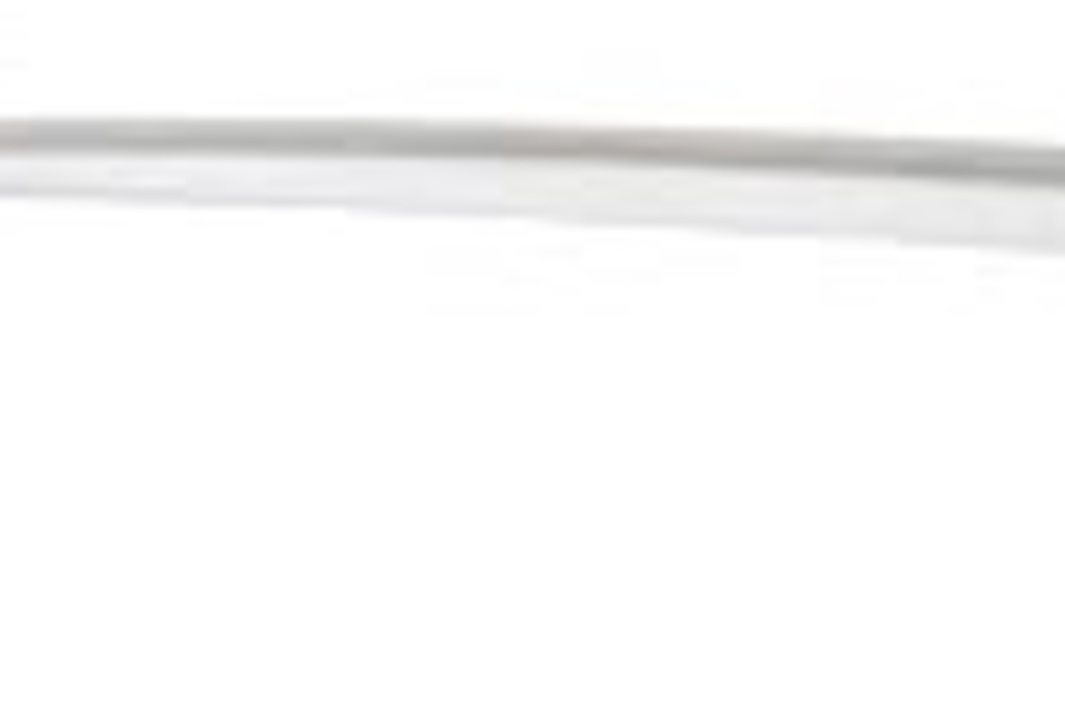 Hot Rod Mop Brush Hot Rod Mop Brush