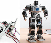 Humanoid Robot Kits