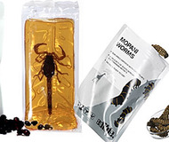 Insectivore Edible Bugs