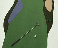 Steve LaPorte Indoor Putting Green