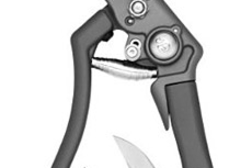 Leatherman Genus Leatherman Genus
