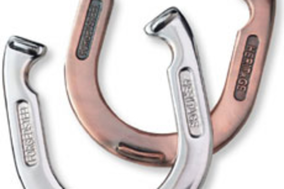 L.L. Bean Horseshoe Set L.L. Bean Horseshoe Set