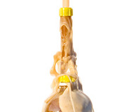 Mentos Geyser Tube