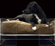 Mija Dog Bed