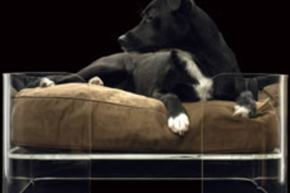 Mija Dog Bed Mija Dog Bed