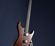 Moog Guitar