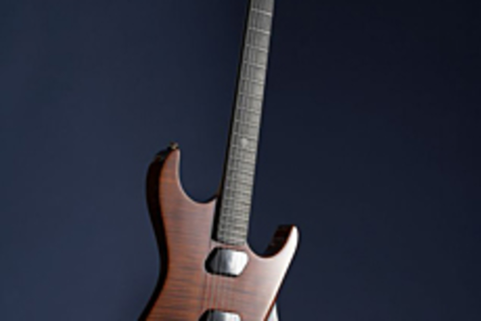 Moog Guitar Moog Guitar