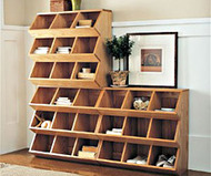 Multi-bin Organizer
