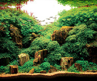 Nature Aquariums