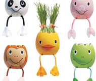 Nyokki Pets