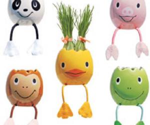 Nyokki Pets